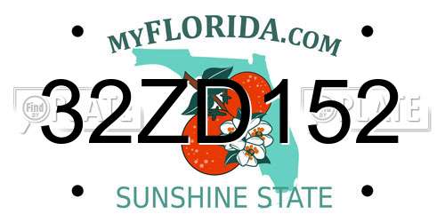 32ZD152 Florida License Plate