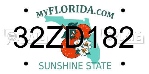32ZD182 Florida License Plate