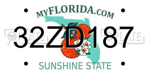 32ZD187 Florida License Plate