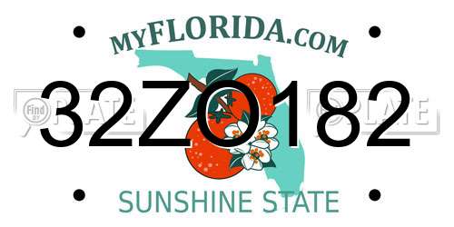 32ZO182 Florida License Plate
