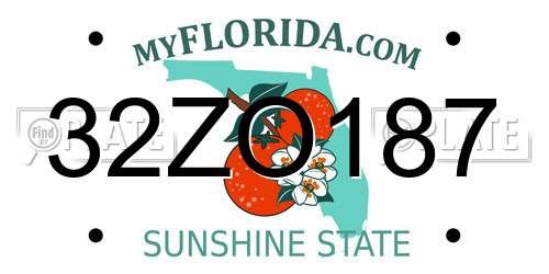 32ZO187 Florida License Plate