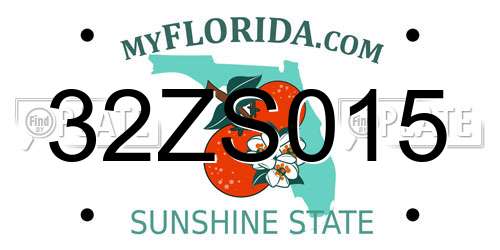 32ZS015 Florida License Plate