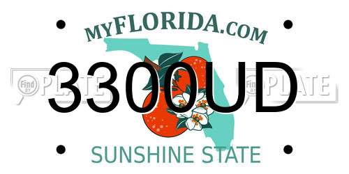 3300UD Florida License Plate
