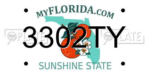 3302TY Florida License Plate