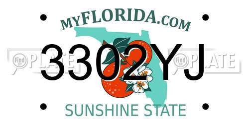3302YJ Florida License Plate