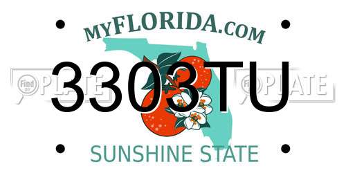 3303TU Florida License Plate
