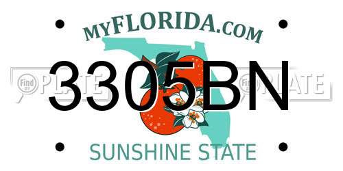 3305BN Florida License Plate