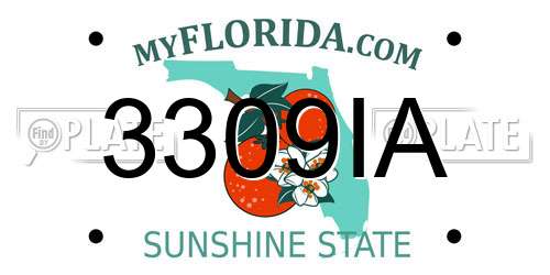 3309IA Florida License Plate