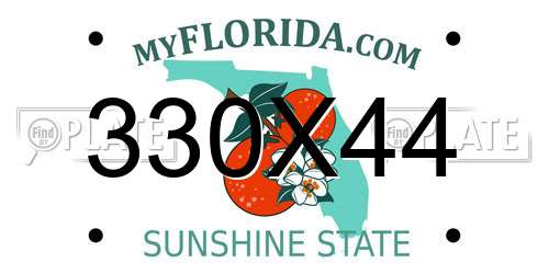 330X44 Florida License Plate