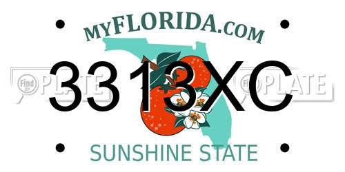 3313XC Florida License Plate