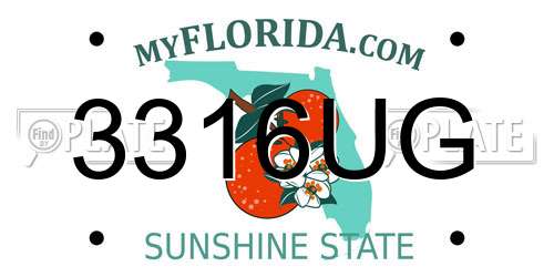 3316UG Florida License Plate
