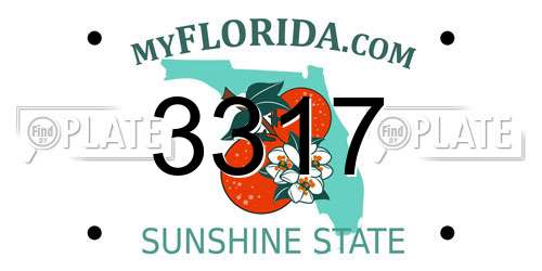 3317 Florida License Plate