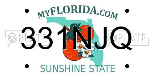 331NJQ Florida License Plate