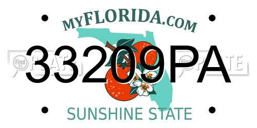 33209PA Florida License Plate