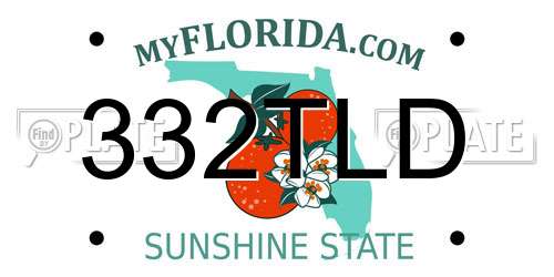 332TLD Florida License Plate