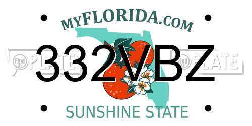 332VBZ Florida License Plate