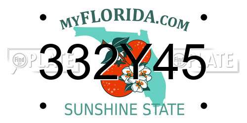 332Y45 Florida License Plate