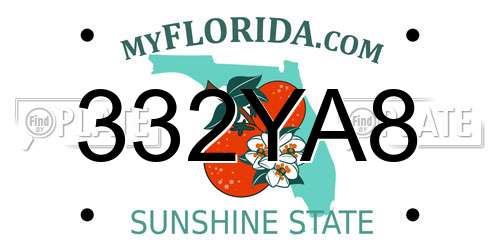 332YA8 Florida License Plate