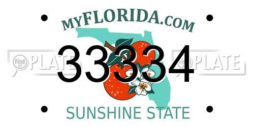 33334 Florida License Plate