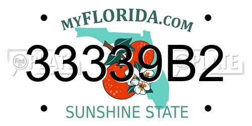 33339B2 Florida License Plate