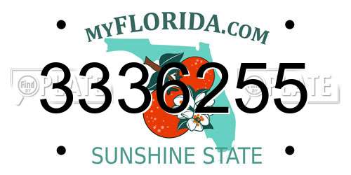 3336255 Florida License Plate