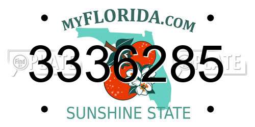 3336285 Florida License Plate