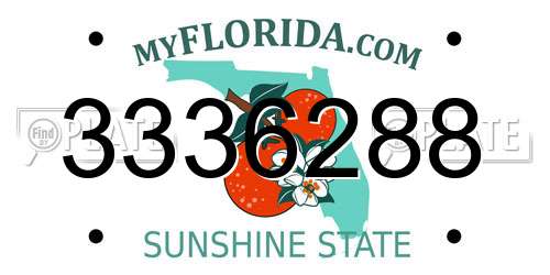 3336288 Florida License Plate