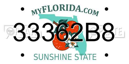 33362B8 Florida License Plate