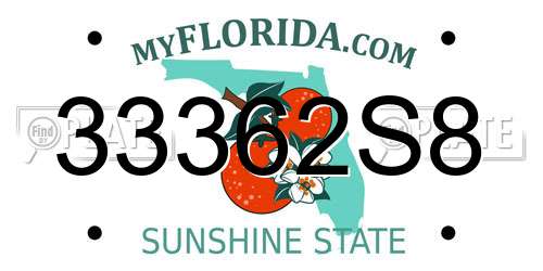 33362S8 Florida License Plate