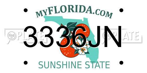 3336JN Florida License Plate