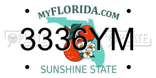 3336YM Florida License Plate