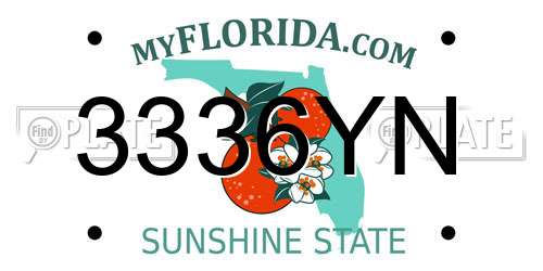 3336YN Florida License Plate