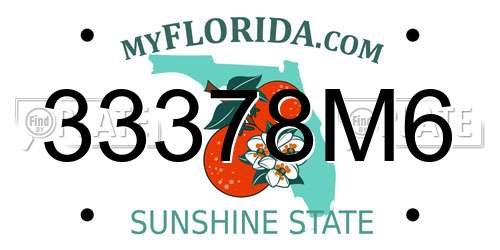 33378M6 Florida License Plate
