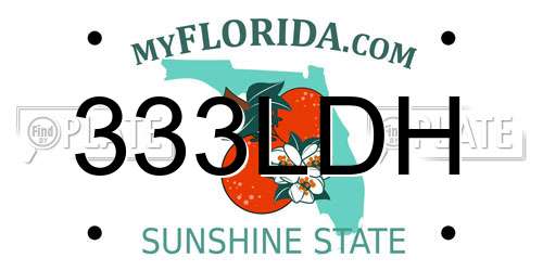 333LDH Florida License Plate