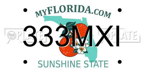 333MXI Florida License Plate