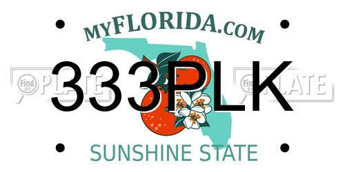 333PLK Florida License Plate