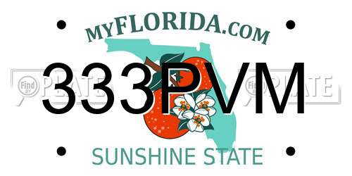 333PVM Florida License Plate