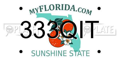 333QIT Florida License Plate