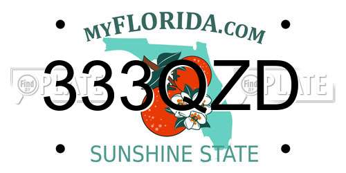 333QZD Florida License Plate