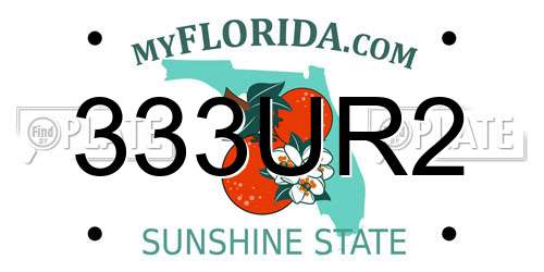 333UR2 Florida License Plate