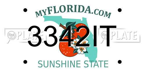 3342IT Florida License Plate