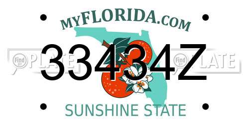 33434Z Florida License Plate