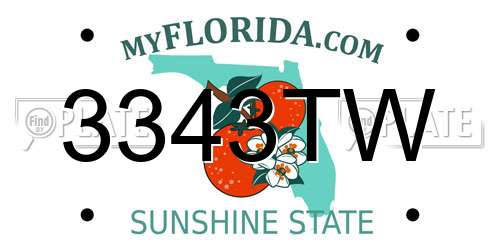 3343TW Florida License Plate