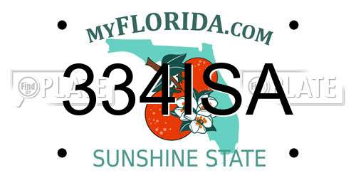 334ISA Florida License Plate