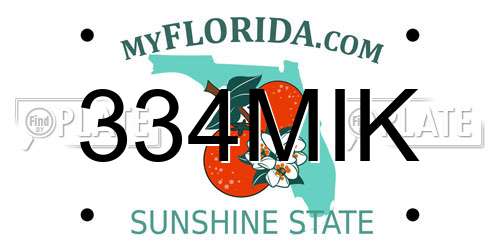 334MIK Florida License Plate