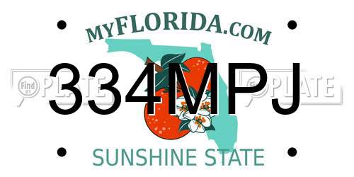 334MPJ Florida License Plate
