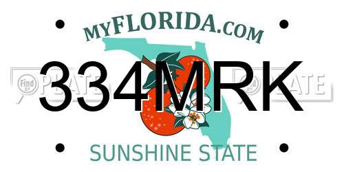 334MRK Florida License Plate