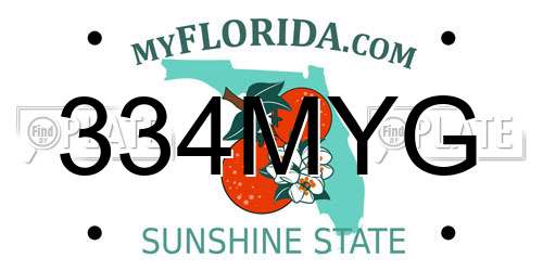 334MYG Florida License Plate