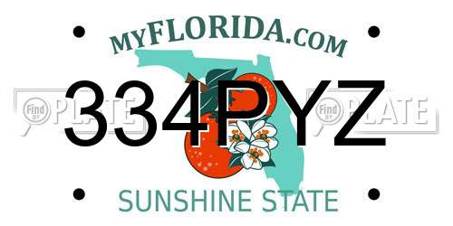 334PYZ Florida License Plate