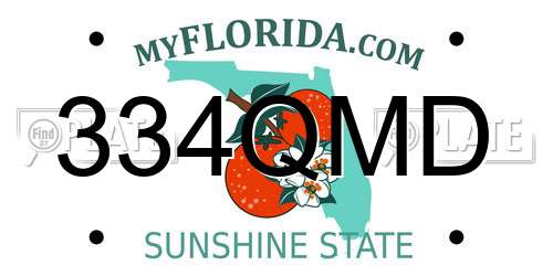 334QMD Florida License Plate